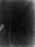 B135335