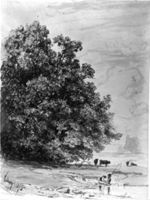B135875