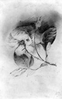 B135907