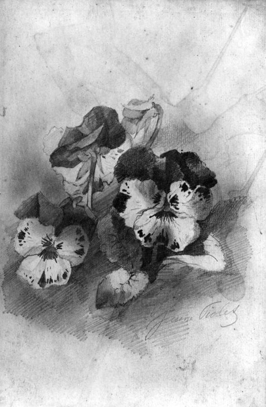 Pensées