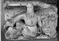 B137081