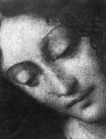 B137341