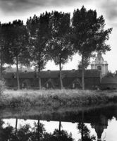 B137833
