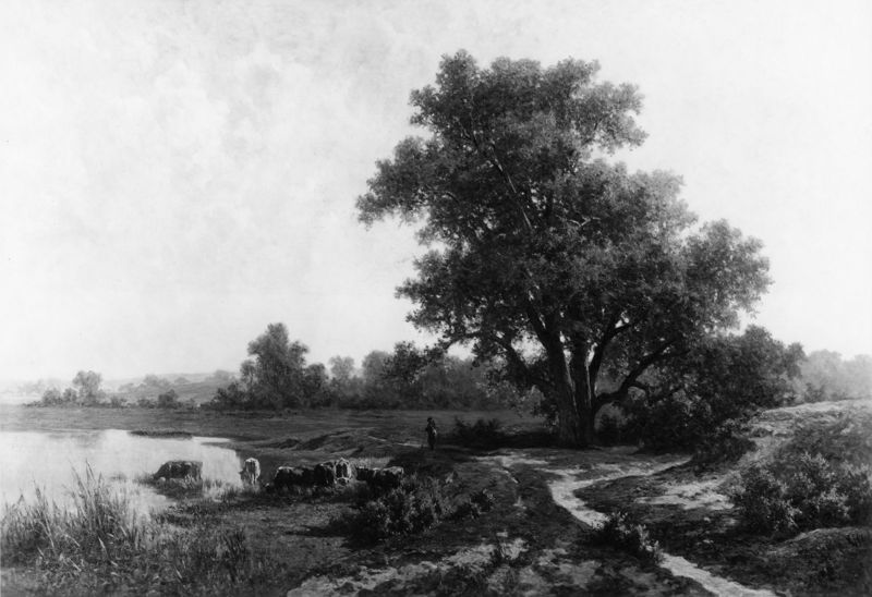 De Heide te Oosterbeek, Gelderland