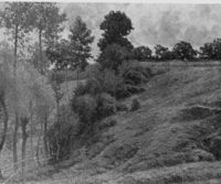 B138459