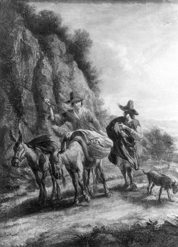 Ezeldrijvers in bergstreek