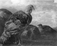 B138897