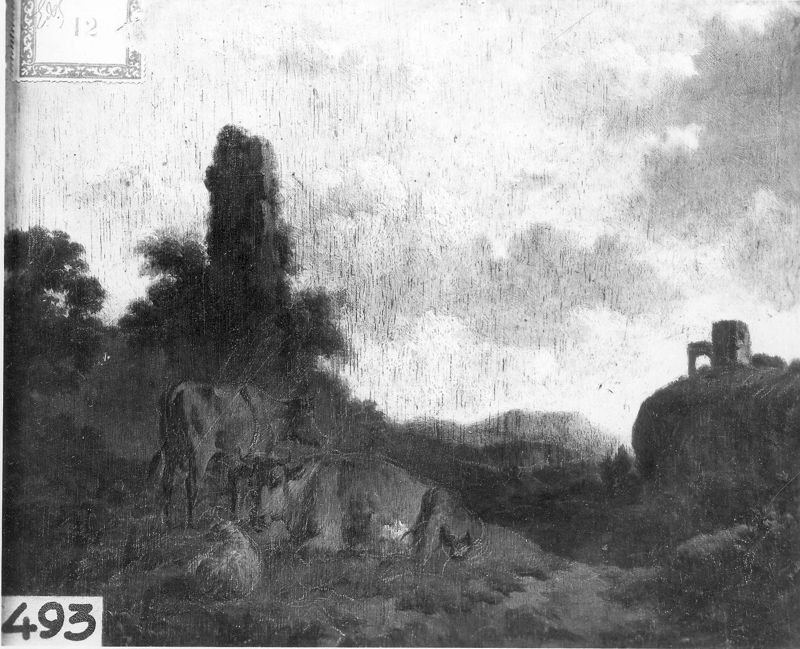 Landschap met koeien