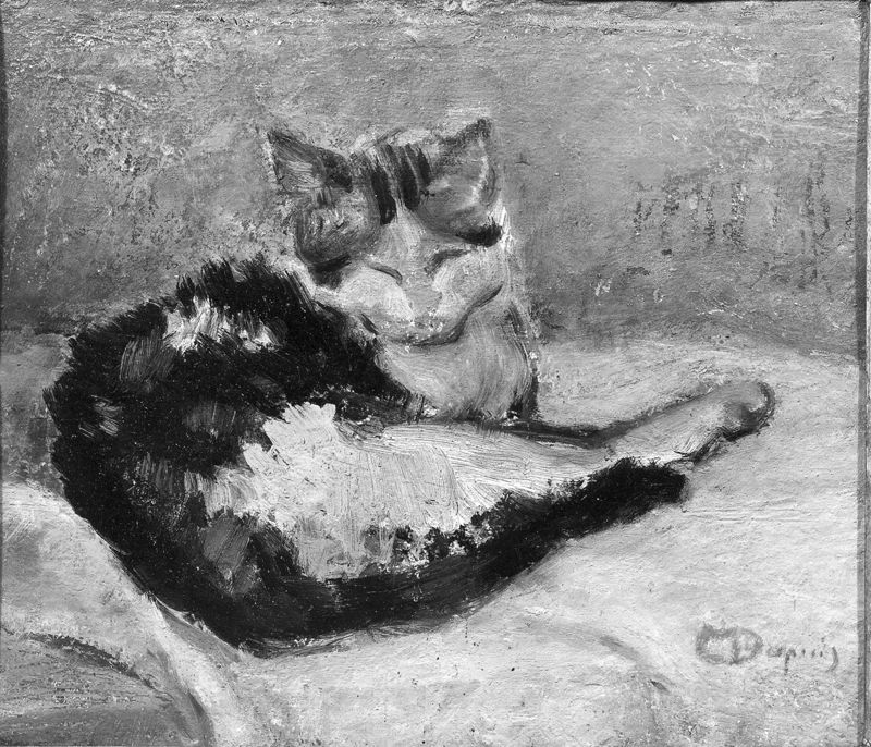 Kat