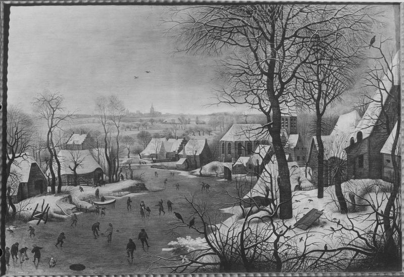 Landschap met vogelknip