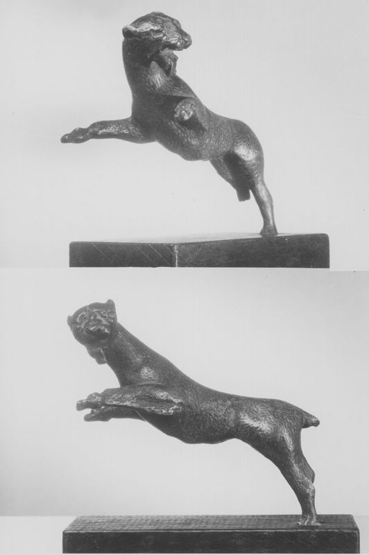 lionne