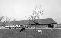 B141397