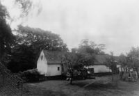 B141904