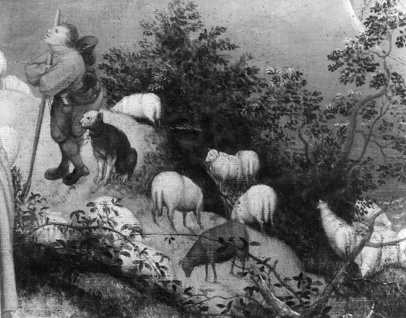 De val van Icarus