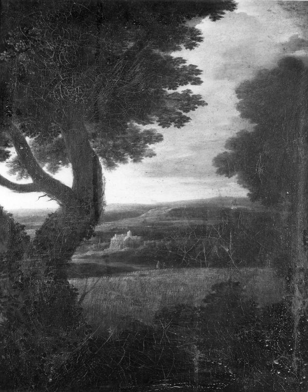 Landschap