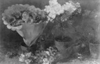 B144627