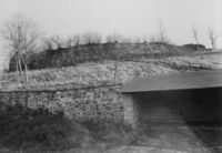 B146975