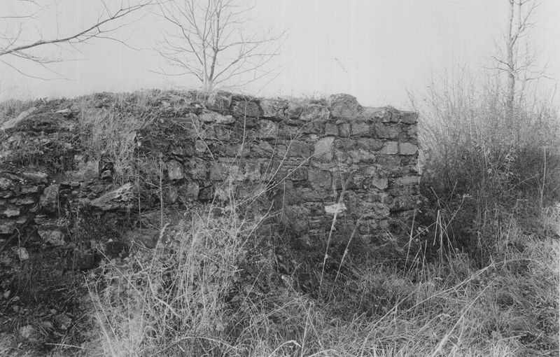 Ruines du château-fort