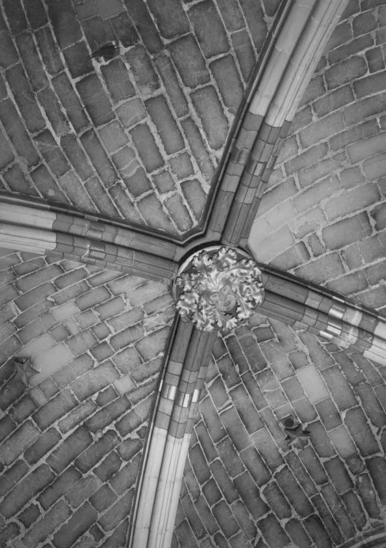 Masque entouré de feuillages