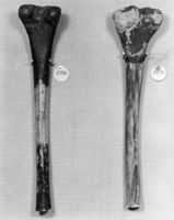 B154142