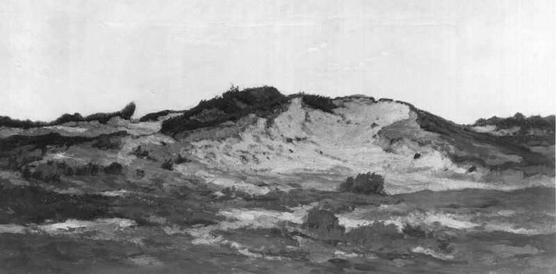 Dunes à Calmpthout
