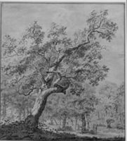 B154846