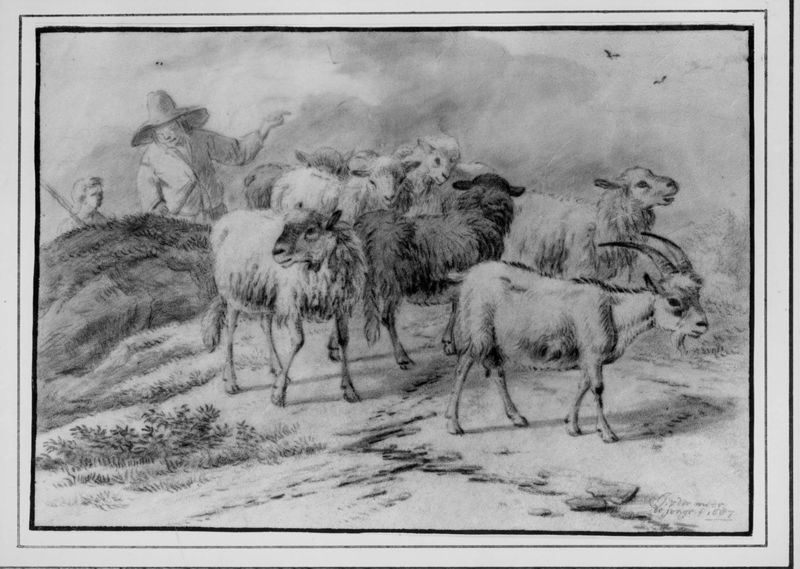 Herder met geit en schapen