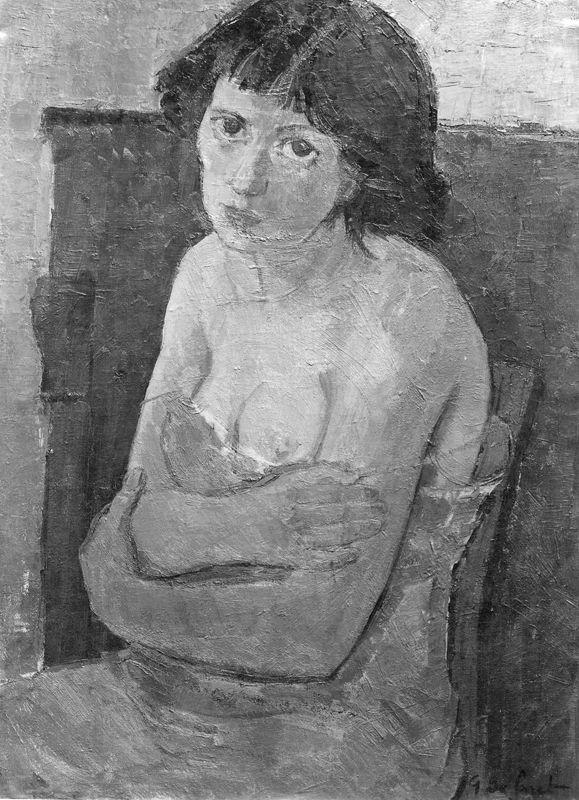 Het model