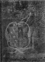 B156447
