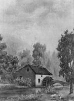B156982