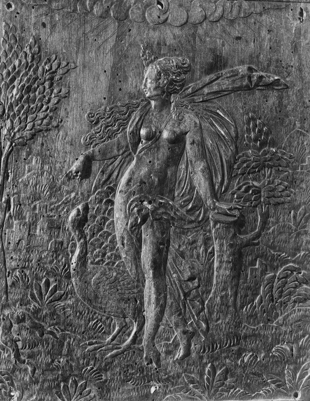 Leda