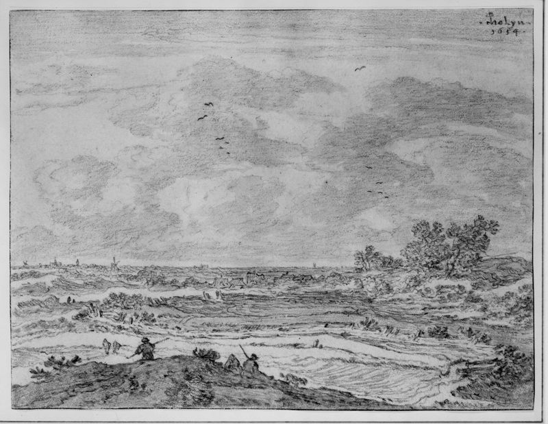 De omgeving van Haarlem (Nederland)