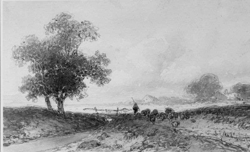 Herder en kudde in de velden