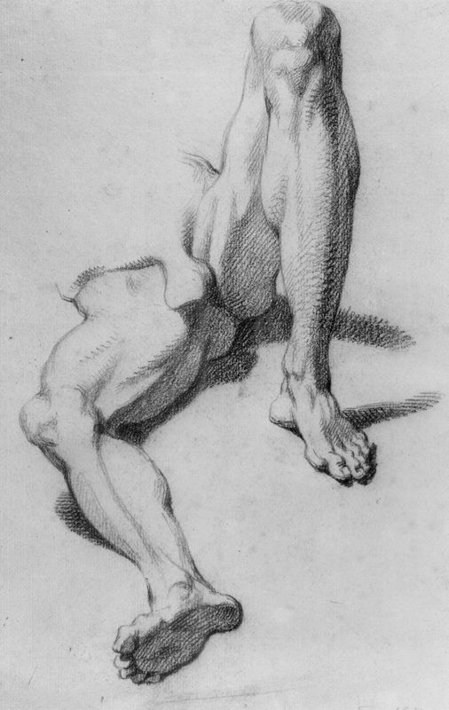 Anatomiestudie van de benen