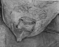 B160859