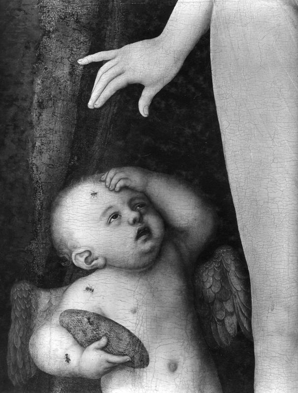Venus en Amor