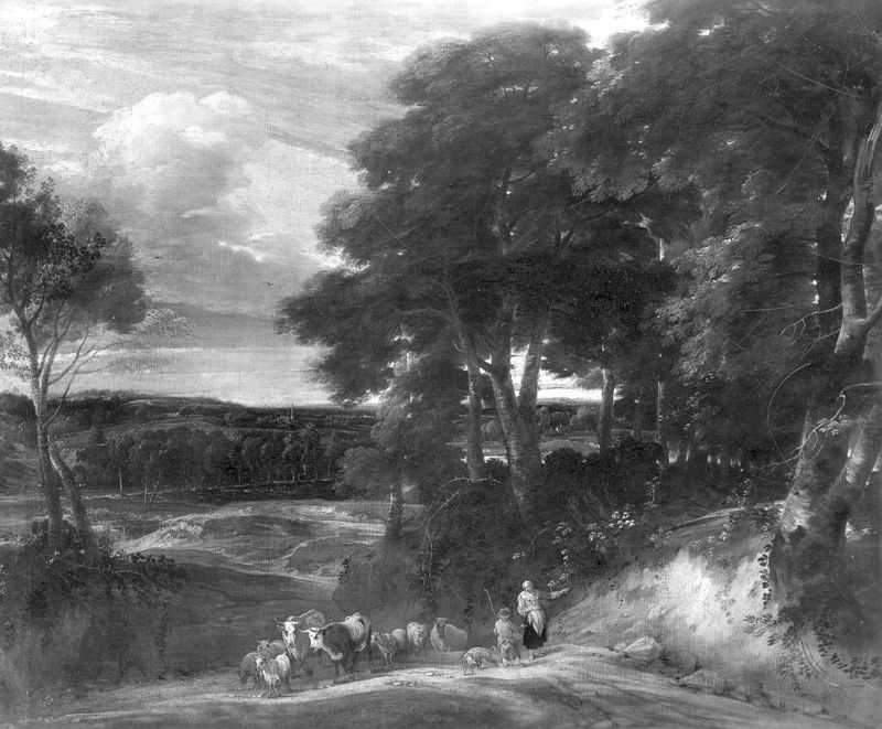 Landschap