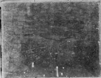 B161329
