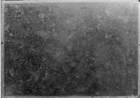 B161371