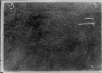 B161397