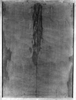 B161441