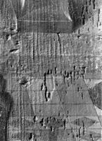 B161454