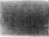 B161456