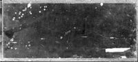 B161476
