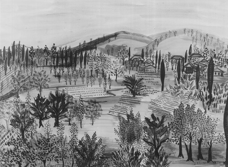 Paysage