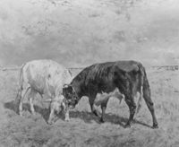 B162373