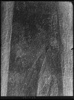 B163631