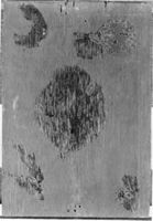 B163771