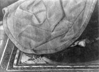 B165104