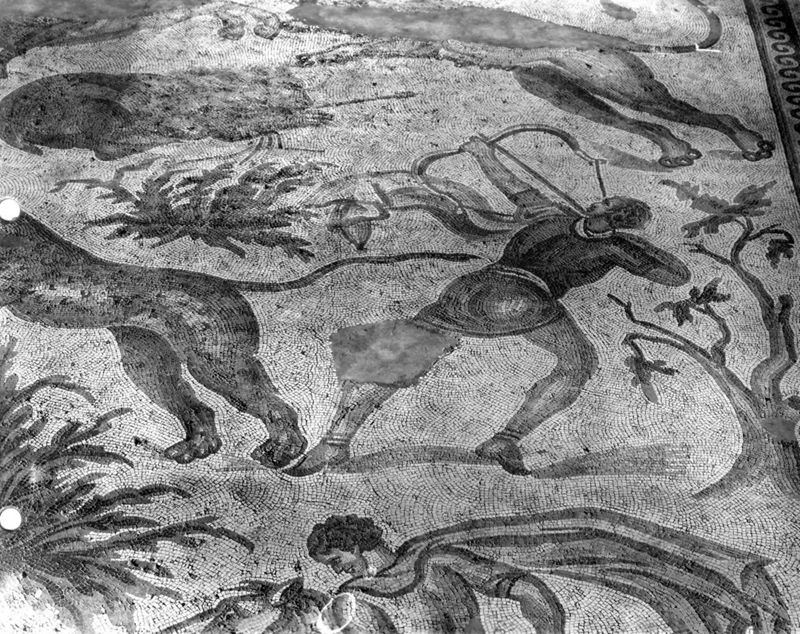 Apamée: grande mosaïque de chasse du Triclinos - Apamea: het grote jachtmozaïek